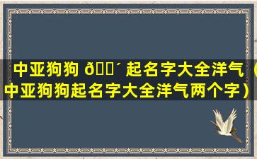 中亚狗狗 🐴 起名字大全洋气（中亚狗狗起名字大全洋气两个字）